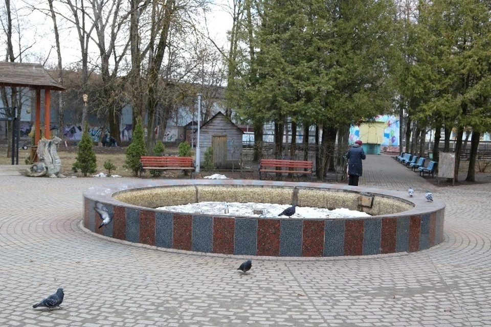 В брянском парке «Юность» появятся пешеходный фонтан и сцена.