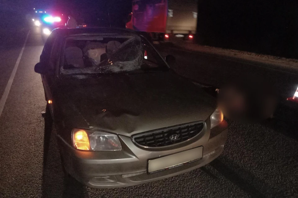 Пешеход погиб под колесами Hyundai на М-5 в Рязанской области. Фото: 62.мвд.рф