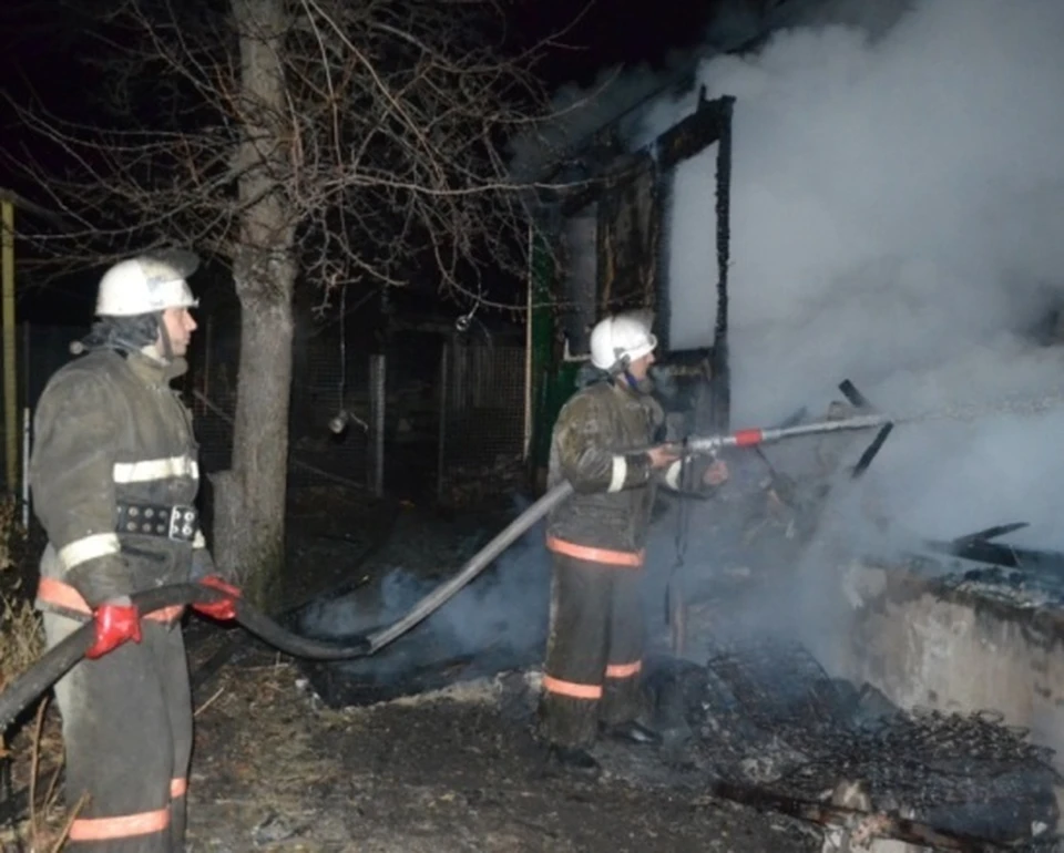 В сгоревшем доме в селе Козловка обнаружили тела двух мужчин.