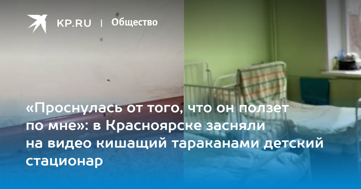 Тараканы ползут в кровать