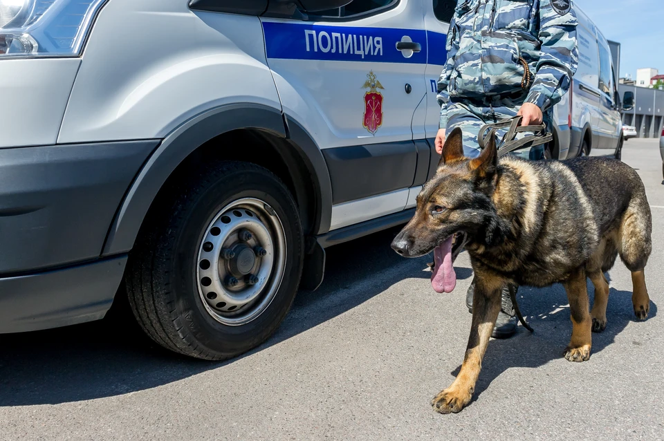 Рыбак сдал полиции улов из патронов.