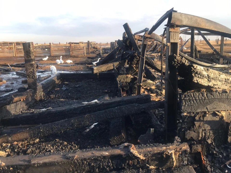 Фото: СК по Красноярскому краю и Хакасии