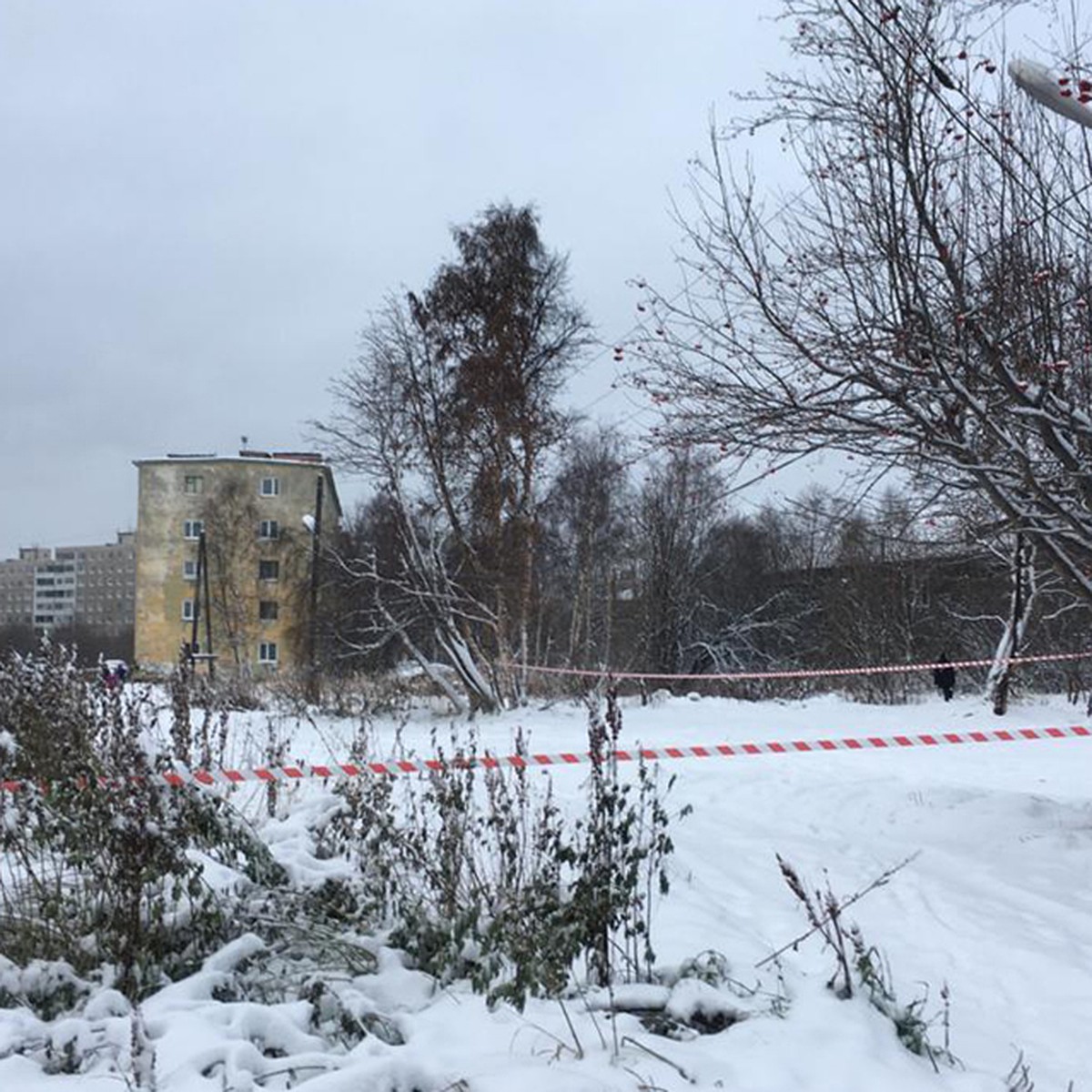 В Мурманске дома на улице Бондарной для расселения Больничного городка не  прошли экспертизу - KP.RU