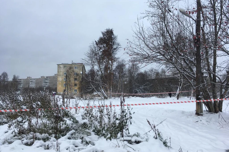 Вице-губернатор отметил, что стройка на Бондарной действительно не ведется и является проблемной. Фото: Правительство Мурманской области.