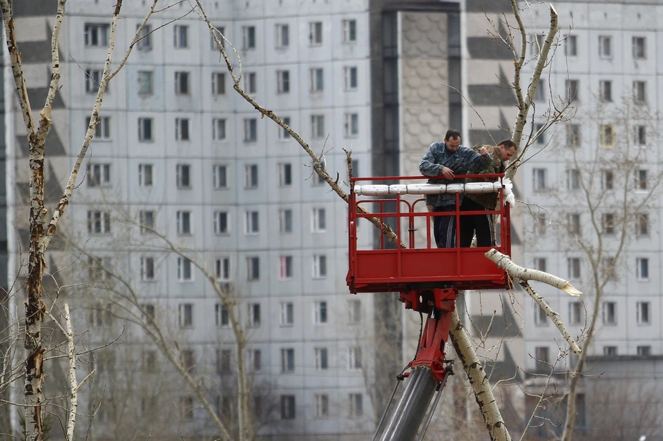 В Ачинске во время обрезки деревьев рабочий чуть не убил напарника веткой