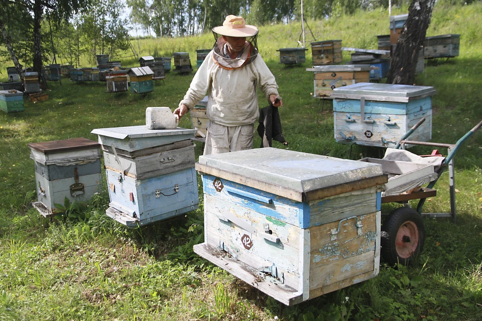 Поводом для создания ФЗ стали случаи массового отравления пчел в 30-ти регионах страны, в том числе, в Белгородской области.