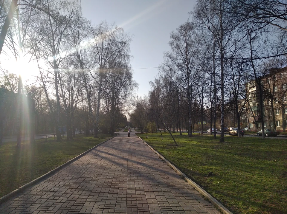 Голосование продлится до 30 мая