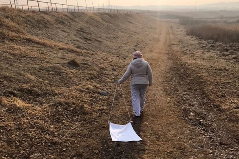 Красноярск начали обрабатывать от клещей. Фото: пресс-служба администрации города