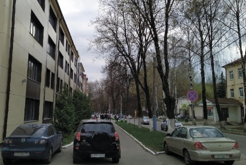 В Брянске решили вырубить липы на улице Горького, чтобы расширить парковку у нового здания Арбитражного суда. Фото: "Новости Брянска".