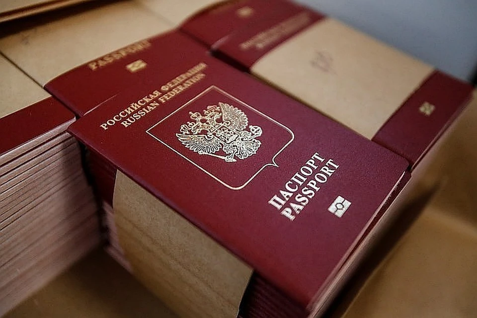 Украинцы составили большинство среди получивших гражданство РФ в 2020 году
