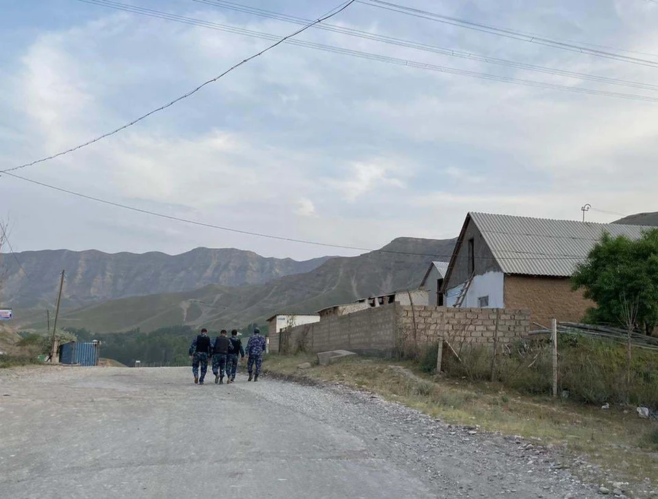 В правительстве Кыргызстана рассказали об итогах переговоров по делимитации и демаркации кыргызско-таджикской границы.