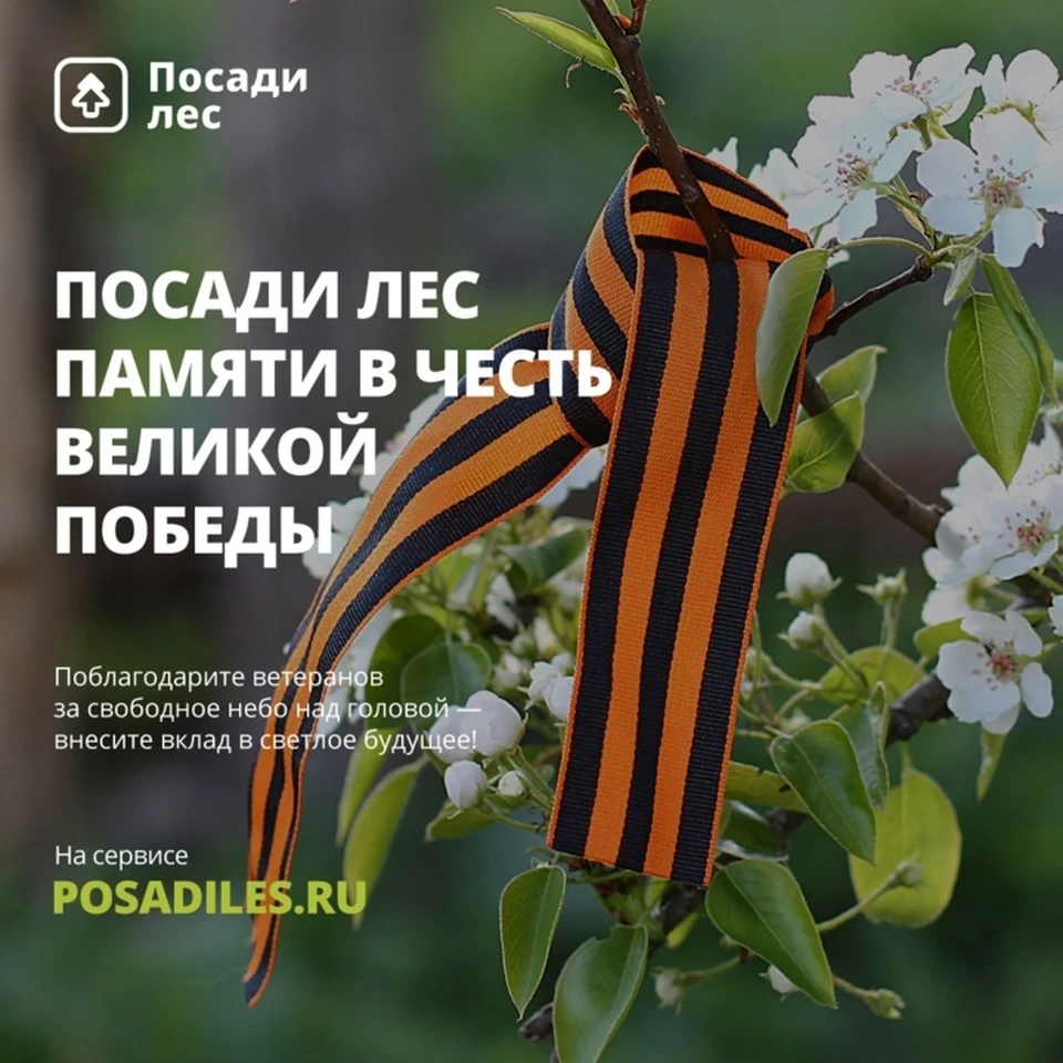 9 мая сервис. Георгиевская ленточка со звездой. День победы баннер. Открытка "с днём победы". С победой 9 мая.