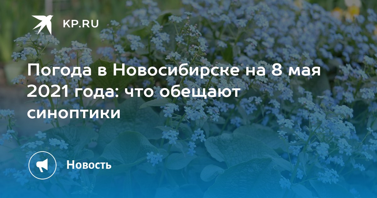 Погода в новосибирске 14 июня 2024 года