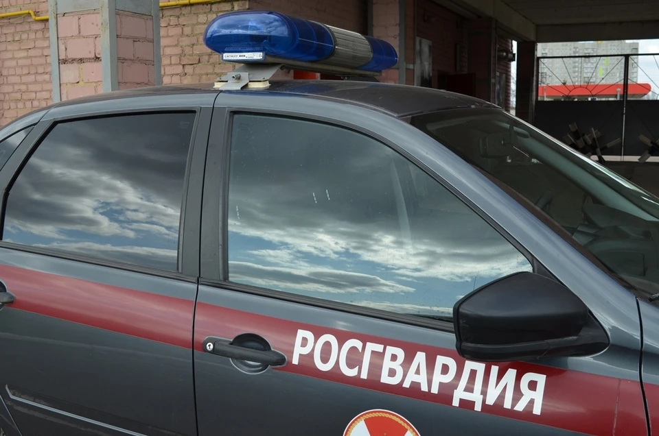 За праздничные майские выходные росгвардейцы задержали 17 человек в Орле и области