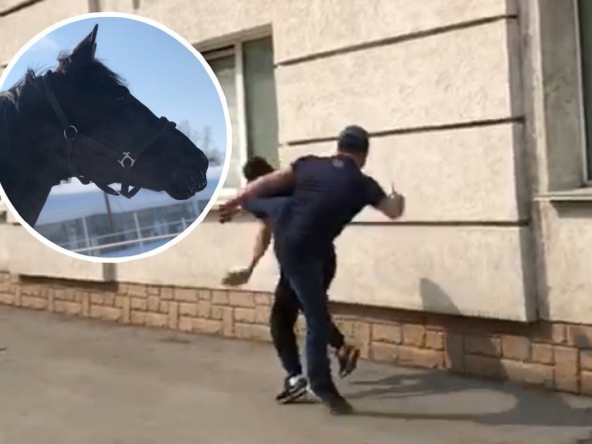 На новосибирском ипподроме произошла жестокая драка из-за коня: это попало  на видео - KP.RU