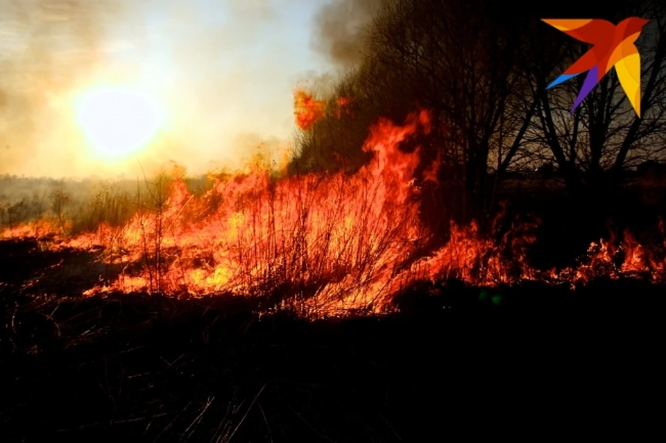 Природные пожары полыхают в Саратовской области