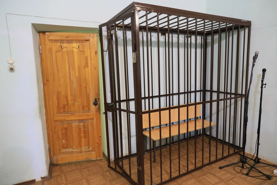 Мужчина признал свою вину