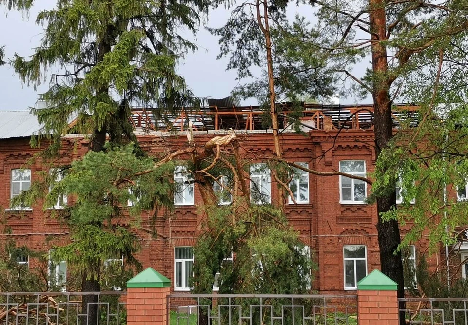 Фото предоставлено АВО.