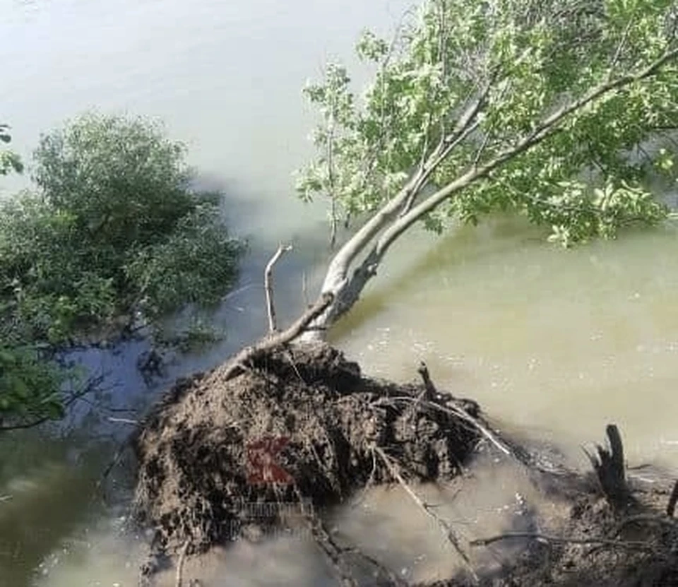 Фото: "Типичный Краснодар"