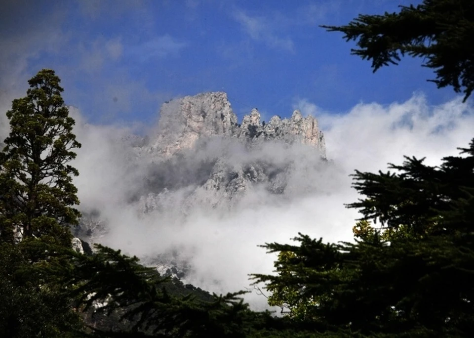 В основном торговали сувенирной продукцией и текстилем.