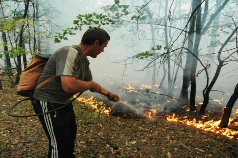 Эксперт по пожарной безопасности дал советы безопасного отдыха в лесу