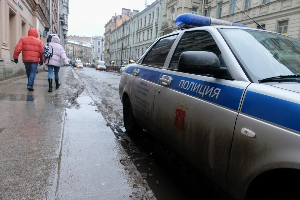 Мужчина изнасиловал 70-летнюю петербурженку во дворе дома на Будапештской