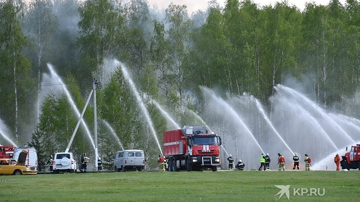 В Свердловской области вводят тотальный запрет на посещение лесов - KP.RU