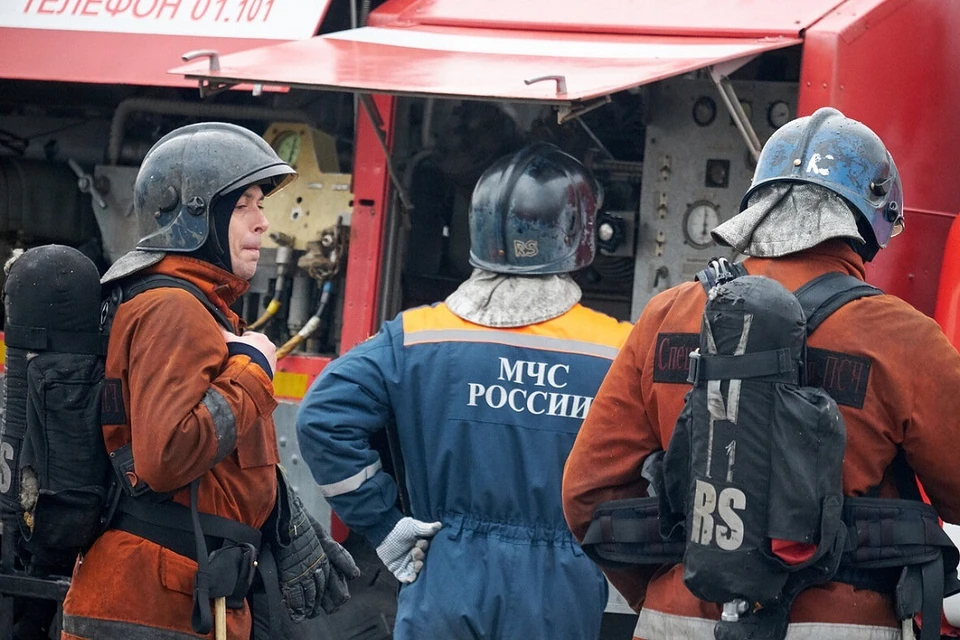 Причины пожара в Лесколово устанавливают дознаватели.