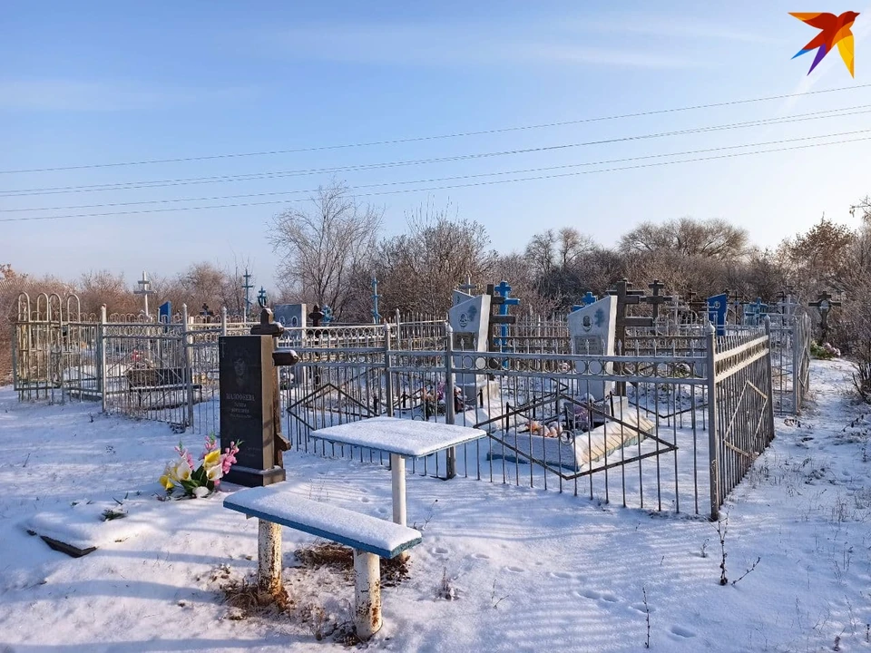 В Саратове появится новое кладбище на 173 гектара