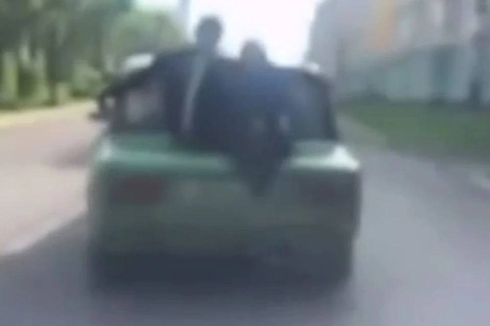 Фото: Скриншот ГИБДД