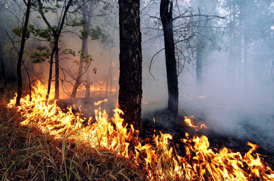 В Томской области пожарные и специальные службы продолжают тушить лесные пожары