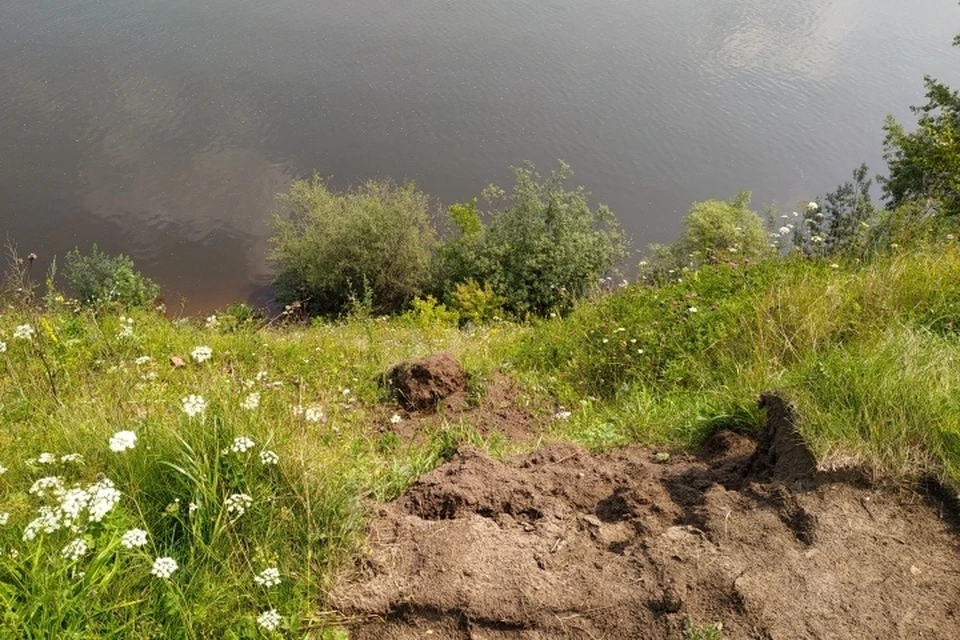 В Перми девочка упала с обрыва реки Камы.