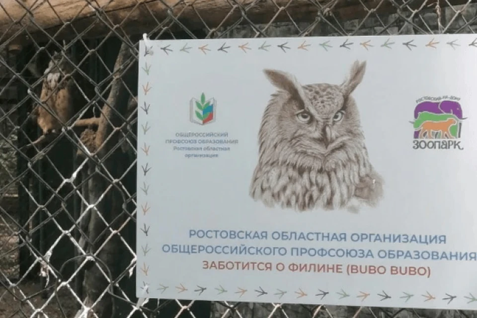 Донские педагоги взяли под опеку филинов ростовского зоопарка. Фото: сайт Министерства образования региона.