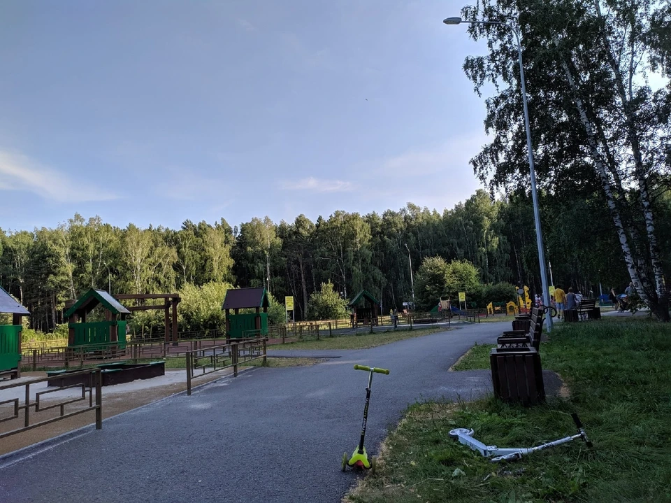 Тюменцам предлагают обсудить правила передвижения на самокатах в парках.