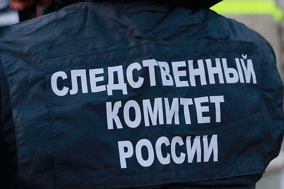 Дело возбуждено по статье об убийстве.