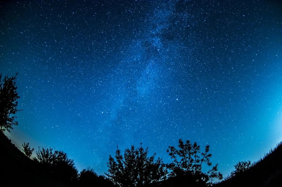 Фото: pexels.com