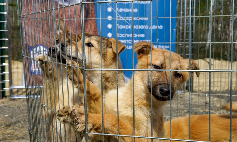 Фото: правительство ЯНАО