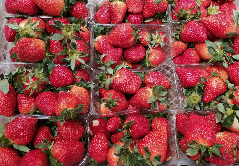 Доктор Павлова рассказала, почему ягоды провоцируют накопление жира