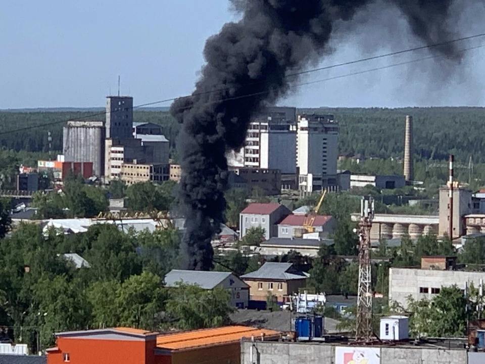 Фото: «Комиинформ»