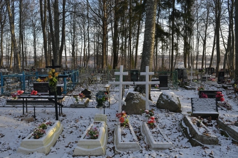Дети за вечер повредили почти 30 памятников.