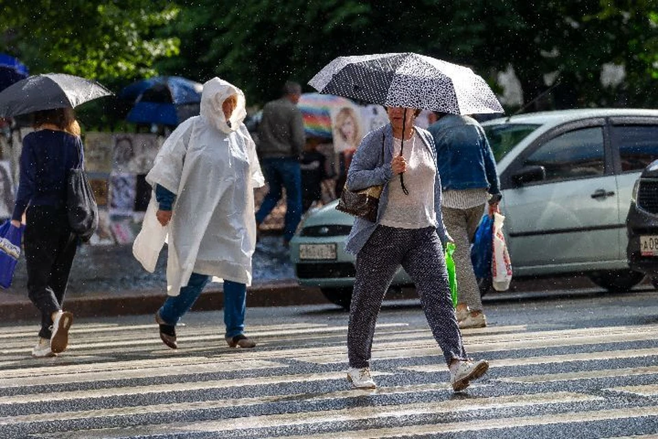 В Ярославской области в ближайшие выходные будет пасмурно и дождливо