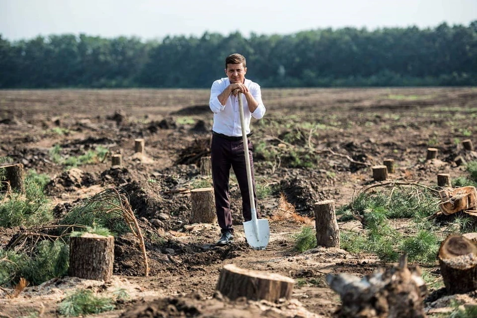Владимир Зеленский поручил высадить на Украине миллиард деревьев. Фото: Instagram «Слуга Народа»