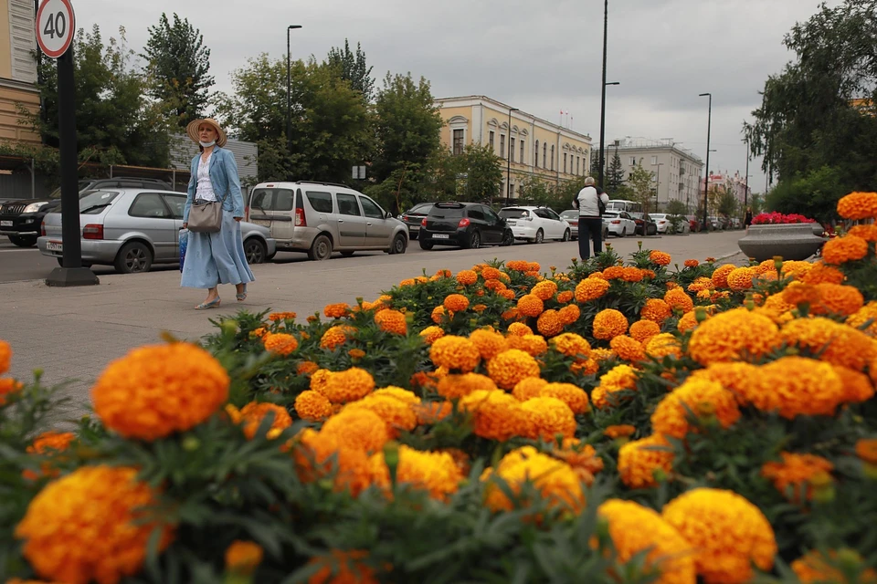 На грядущих выходных в Красноярске потеплеет до +26 градусов и стихнет ветер