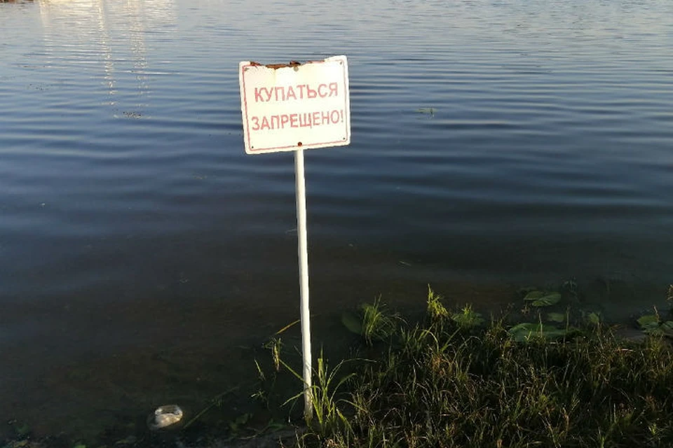 Названы места в Ярославле, где запрещено купаться