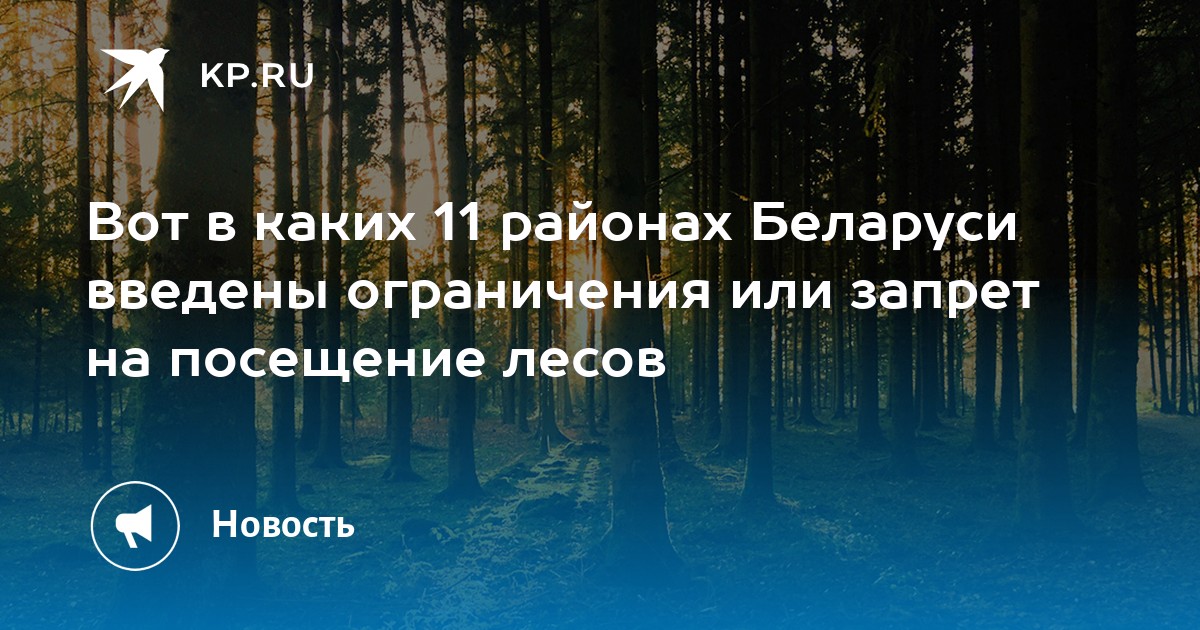 Карта запретов на посещение лесов в беларуси на сегодня 2022