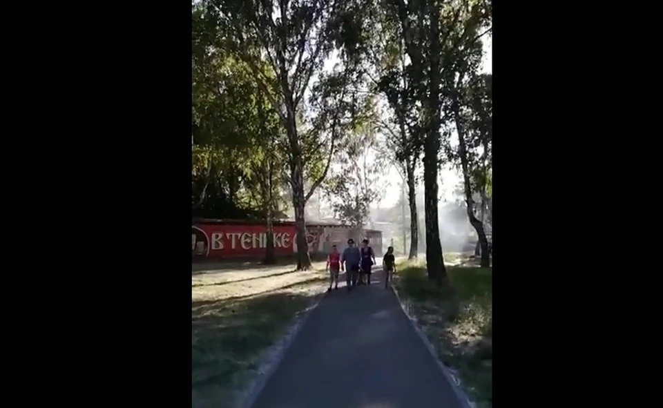 Одним запах шашлыка кажется приятным, другим - нет. Фото: скрин видео читателя КП-Челябинск