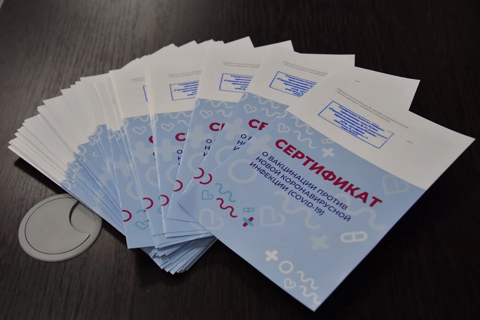 Постоянно носить с собой справку о вакцинации готовы менее четверти жителей Челябинска