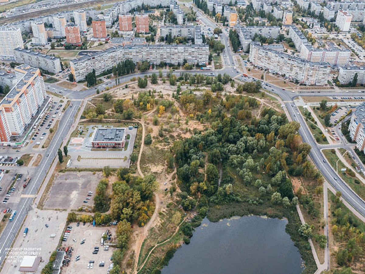 Территорию возле Мещерского озера благоустроят к юбилею Нижнего Новгорода -  KP.RU