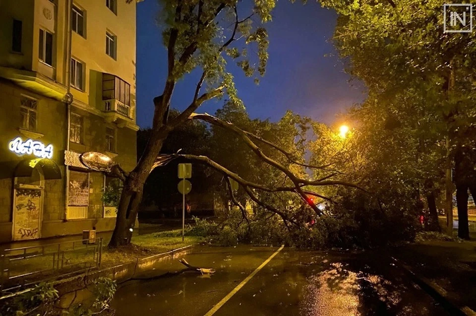 На Кировоградской из-за сильного ветра дерево упало и перекрыло дорогу Фото: группа ВКонтакте "Инцидент Екатеринбург"
