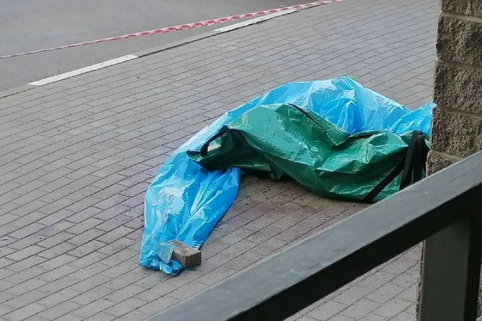 Женщину разорвало на части после падения с высоты в Петербурге